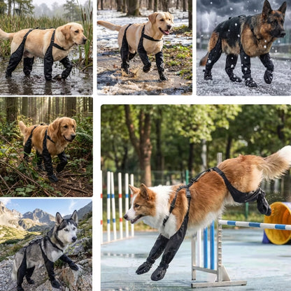 Impermeable Para Perros