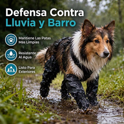 Impermeable Para Perros