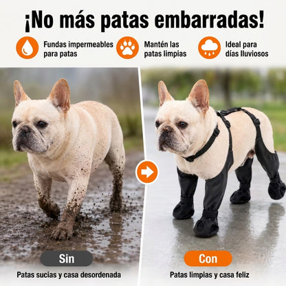 Impermeable Para Perros