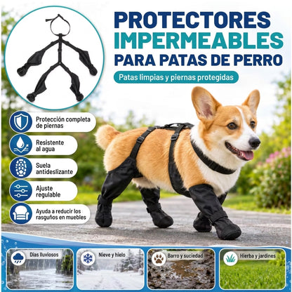 Impermeable Para Perros